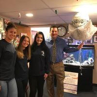 D'Agostino Chiropractic Associates ico