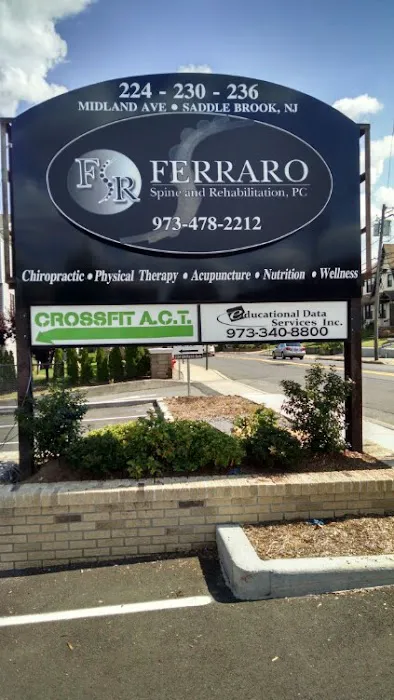 Ferraro Spine & Rehabilitation: Chiropractic and Physical Therapy Picture 4