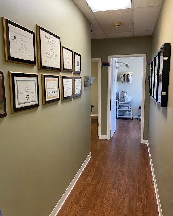 Dr. Ron Amidror DC, CCSM | Chiropractor in New Rochelle Picture 7