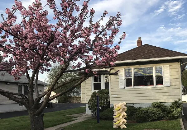 Radburn Family Chiropractic Picture 3