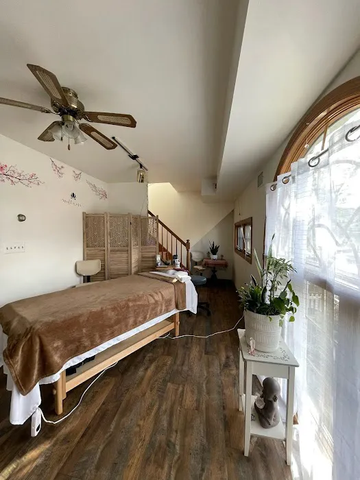 Rebisz Chiropractic Picture 2