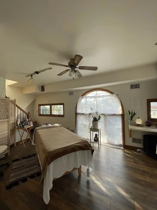 Rebisz Chiropractic Picture 8