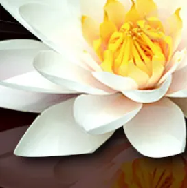 Santoro Chiropractic Health Picture 1