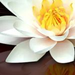 Santoro Chiropractic Health