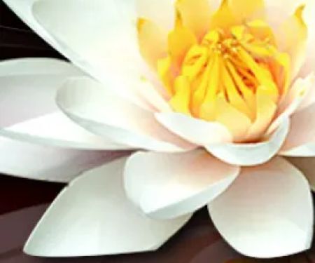 Santoro Chiropractic Health