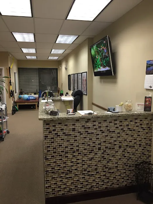 Sofos Chiropractic Picture 7