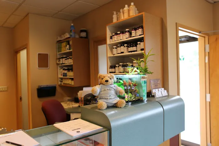 Elmsford Chiropractic Picture 6
