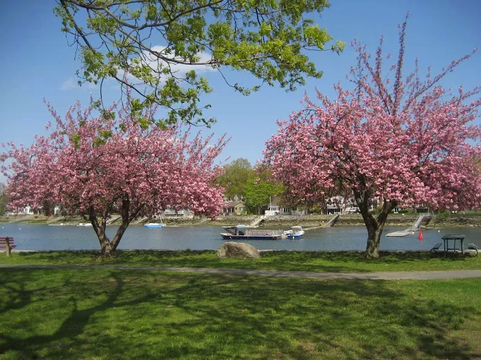 Harbor Healing & Wellcare Picture 6