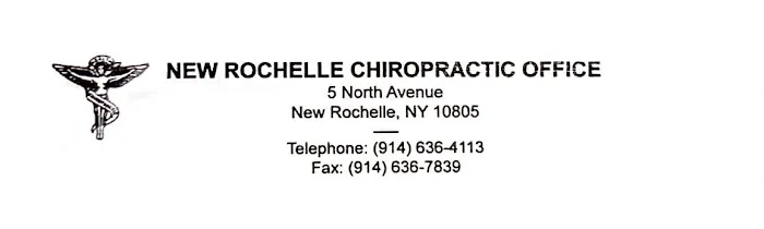 New Rochelle Chiropractic Office Picture 1