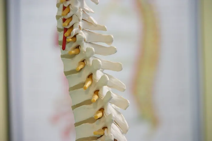 Tarrytown Chiropractic Picture 3