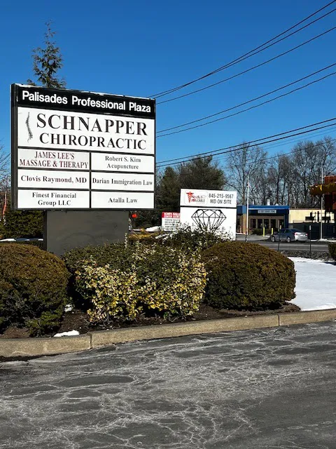 Schnapper Chiropractic Picture 2