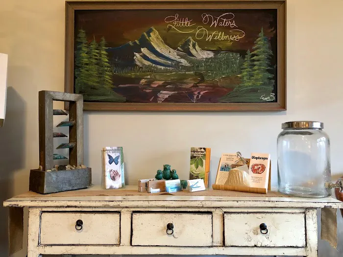 Little Waters Wellness with Dr. Kristina Wodicka Picture 4