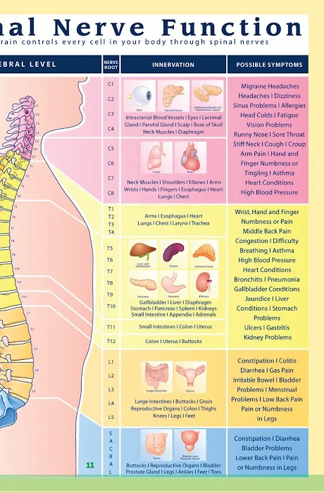 Physicians Chiropractic PC Picture 6