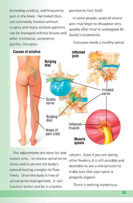 Physicians Chiropractic PC Picture 9