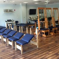 DeCarlo Chiropractic ico