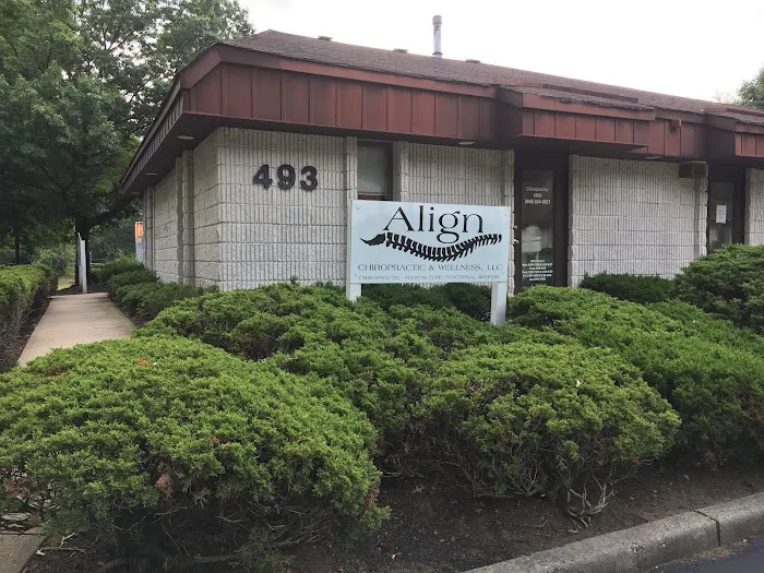 Align Chiropractic & Wellness Picture 2