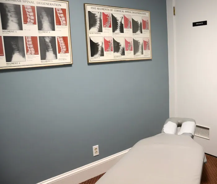 Patti Chiropractic Associates Picture 4