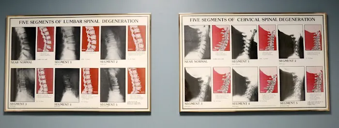 Patti Chiropractic Associates Picture 5