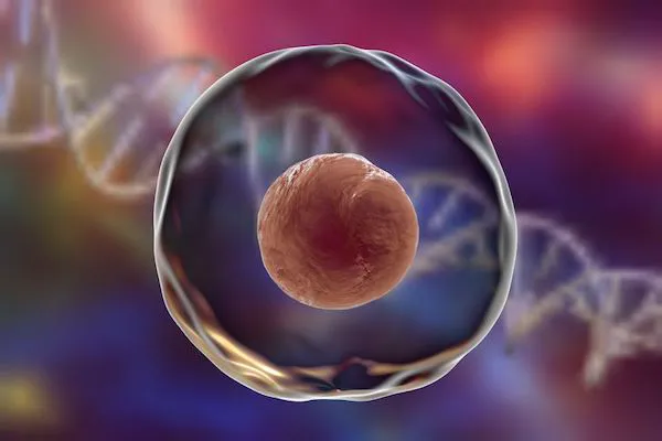 The Center For Wellness Picture 6