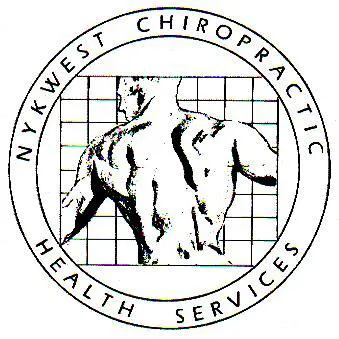 Nykwest Chiropractic Picture 1