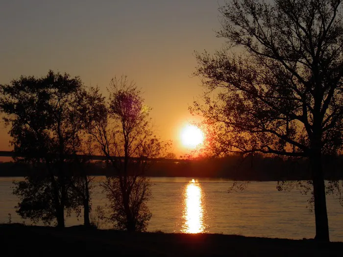 Back To Health Chiropractic Center - Dr. Colleen Kachele Picture 7