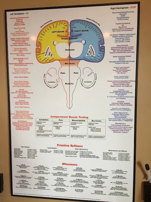 PRECISION Upper Cervical Care Center of NJ Picture 9