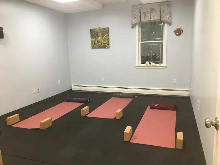 O'Connell Chiropractic Picture 3