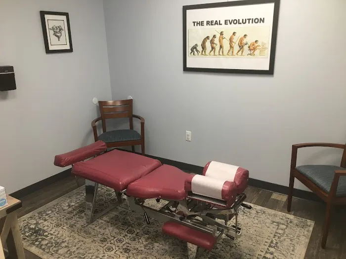O'Connell Chiropractic Picture 5