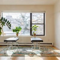 Monarch Chiropractic of Queens ico