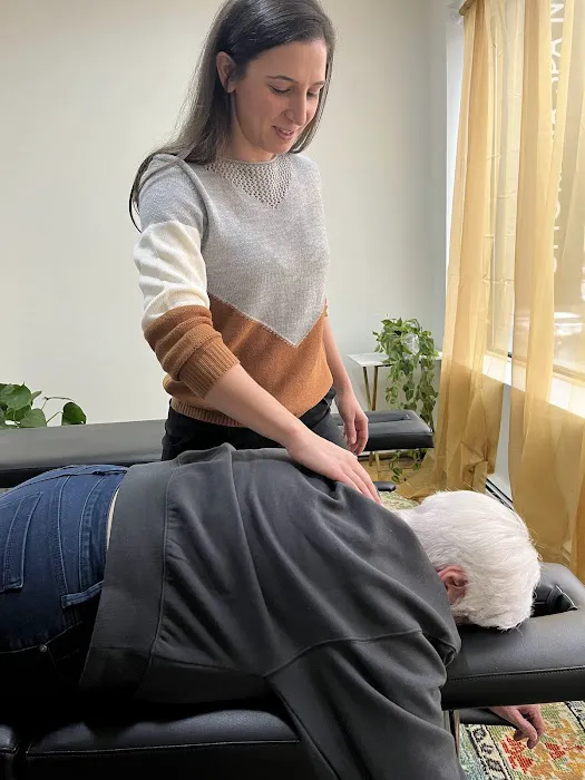 Monarch Chiropractic of Queens Picture 7