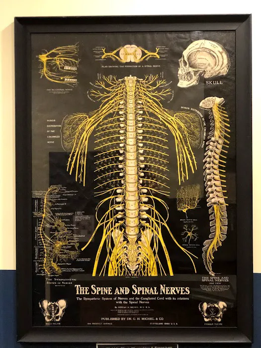 Astoria Chiropractic Picture 4