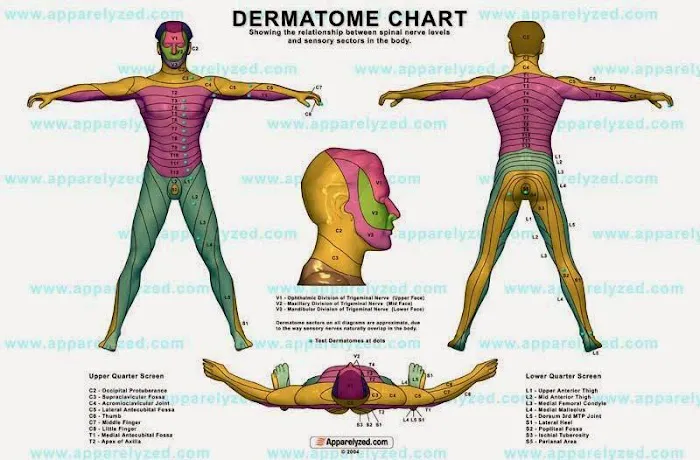 Dr. Andre Farah Chiropractor Picture 1