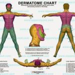 Dr. Andre Farah Chiropractor