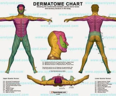 Dr. Andre Farah Chiropractor