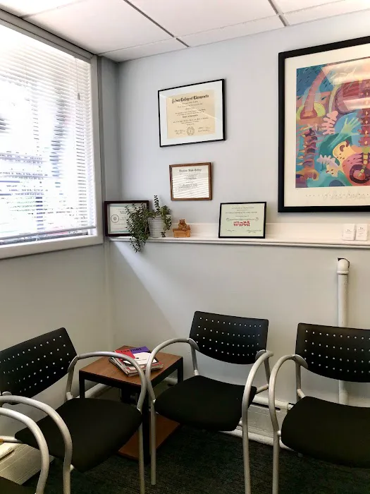 Bozan Chiropractic Picture 1