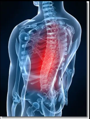 Kyle F. Worell D.C. PC | MOOV. ATHLETIC | Chiropractor, Spine Care, Sports Therapy & Rehabilitation Picture 3