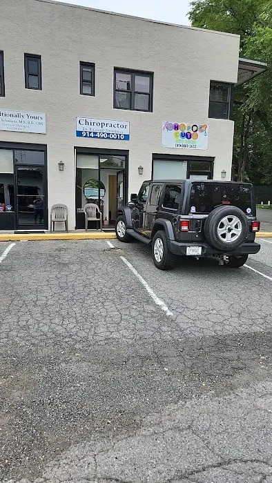DR. RICHARD ZIPPERMAN CHIROPRACTOR, CHAPPAQUA Picture 2