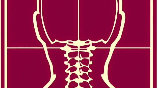Atlas Orthogonal Chiropractic, LLC Picture 4