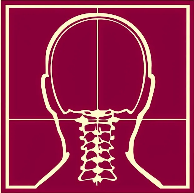 Atlas Orthogonal Chiropractic, LLC Picture 9