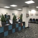 Landi Chiropractic & Wellness: Dr. E. Landi