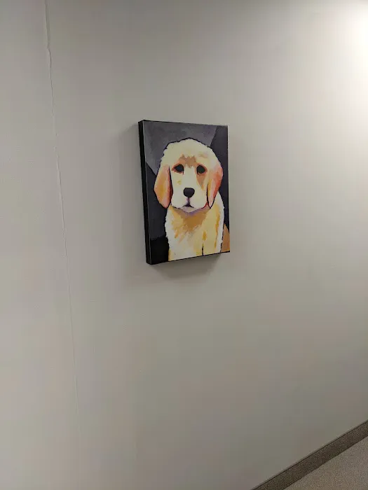 Alan J. Kooreman, DC Picture 9