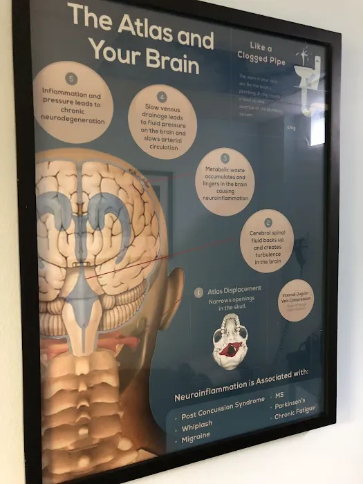BELLO Family Chiropractic Picture 4