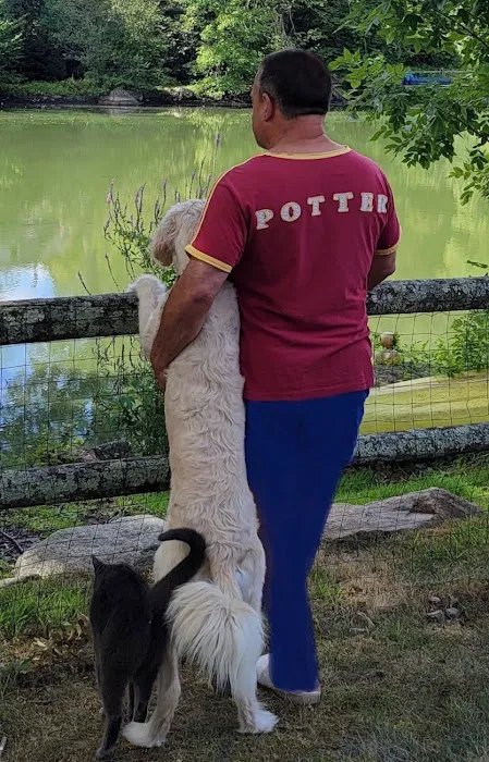 Dr. William Trebing, Chiropractic Physician Picture 7