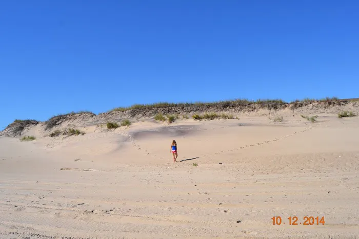 Dr. William Trebing, Chiropractic Physician Picture 10