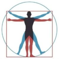 Donna M. Del Principio, DC, MS ico