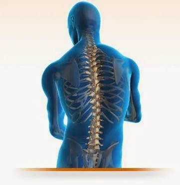 North Williamsburg Chiropractic Picture 3