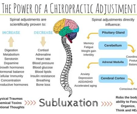 Chiropractor Rockland Ny-Rent This Listing,Call Today!