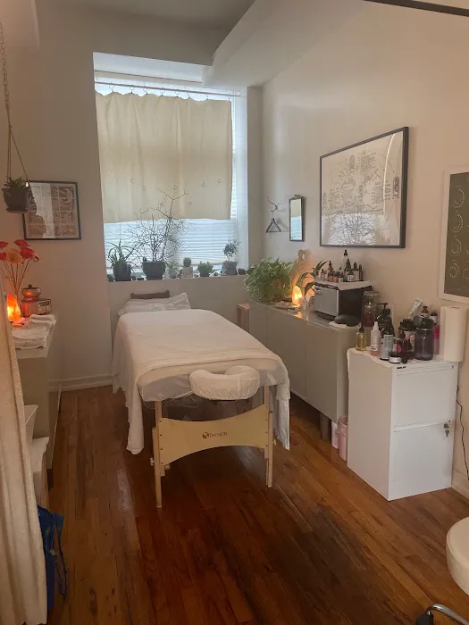 Williamsburg Brooklyn Chiropractic Pediatrics & Pregnancy: Dr. Crystal Gullo DC,Pllc Picture 2