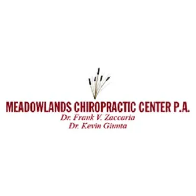 Meadowlands Chiropractic Center P. A. Picture 4