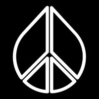 Peace Chiropractic Arts, PLLC ico